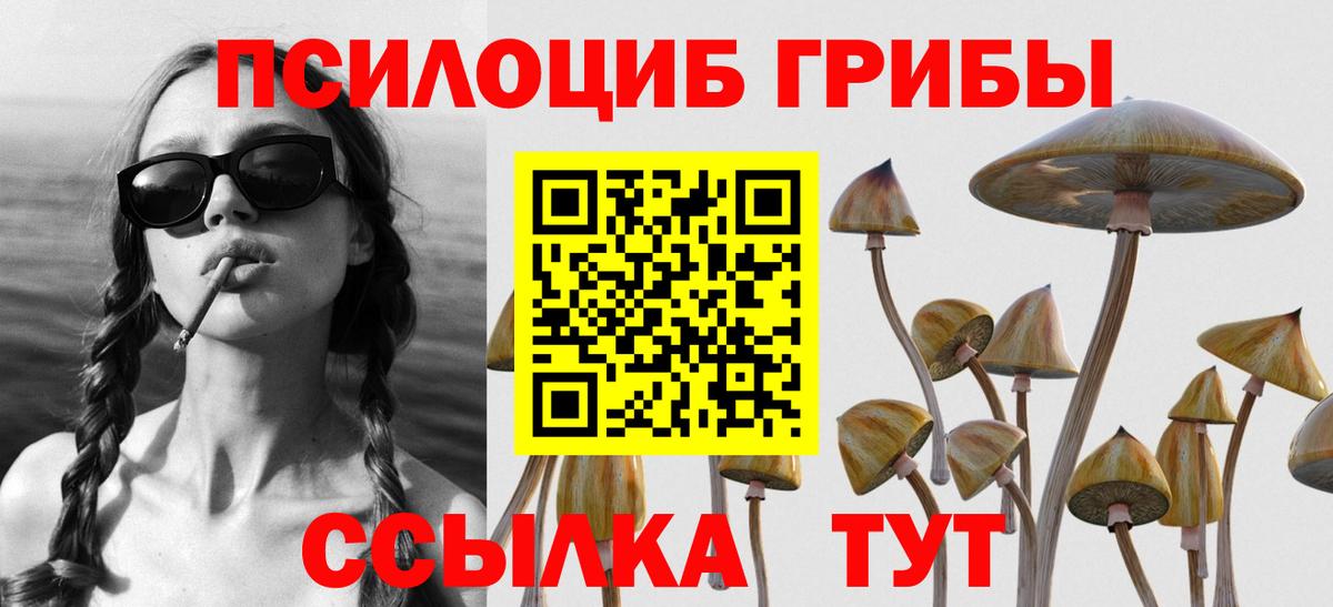 Псилоцибиновые грибы Cubensis Назарово